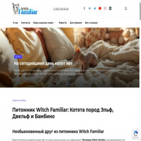 Скриншот главной страницы сайта witchfamiliar.ru
