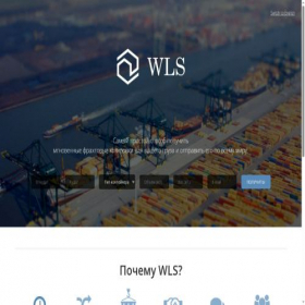 Скриншот главной страницы сайта wlsrus.com