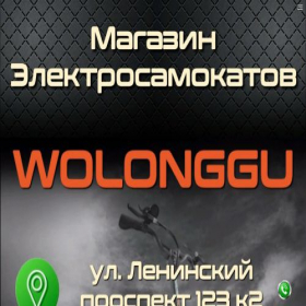 Скриншот главной страницы сайта wolonggu.shop