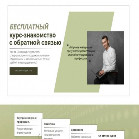 Скриншот главной страницы сайта workinsales.ru