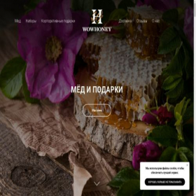 Скриншот главной страницы сайта wowhoney.ru