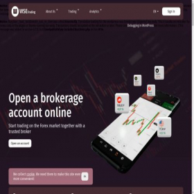 Скриншот главной страницы сайта wse-trading.com