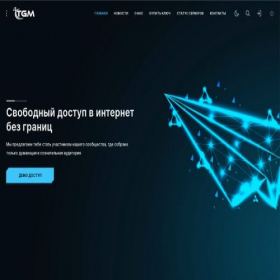 Скриншот главной страницы сайта wvpntgm.ru