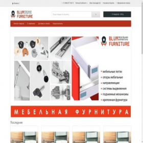 Скриншот главной страницы сайта www-blum.ru