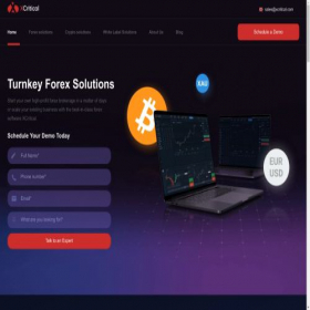 Скриншот главной страницы сайта xcritical.com