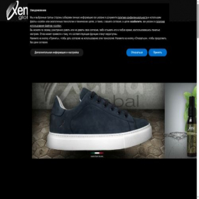 Скриншот главной страницы сайта xeniaglobal.ru