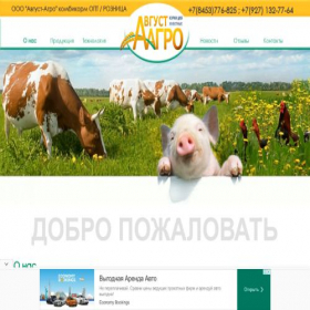 Скриншот главной страницы сайта xn----7sbbgfc1fpfkj.xn--p1ai