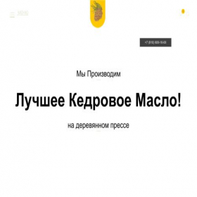 Скриншот главной страницы сайта xn----7sbbpe3afguye.xn--p1ai