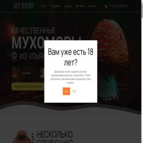 Скриншот главной страницы сайта xn----7sbc0calbqmmw0j.xn--p1ai