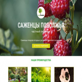 Скриншот главной страницы сайта xn----7sbhked8ankbis3etdwa2c.xn--p1ai