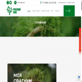 Скриншот главной страницы сайта xn----8sbj7adfdzvgi.xn--p1ai