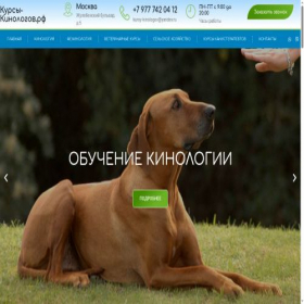 Скриншот главной страницы сайта xn----dtbctibipjbbpn0a6j.xn--p1ai