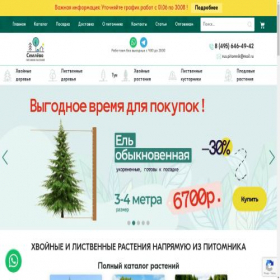 Скриншот главной страницы сайта xn----dtbikambmefefhcciqfy2a.xn--p1ai