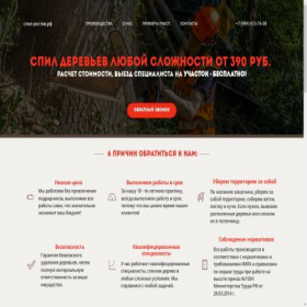 Скриншот главной страницы сайта xn----dtbqmqaclegl.xn--p1ai