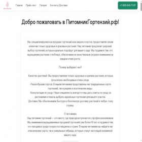 Скриншот главной страницы сайта xn----ftbgibaeidslffggzzj.xn--p1ai