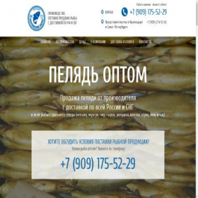 Скриншот главной страницы сайта xn----gtbcyhlacf4a0i8a.xn--p1ai