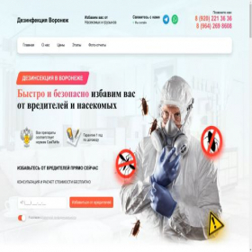 Скриншот главной страницы сайта xn---36-3eda5e.xn--p1ai