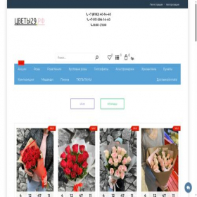 Скриншот главной страницы сайта xn--29-dlcm9dva2b.xn--p1ai