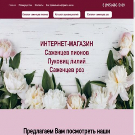 Скриншот главной страницы сайта xn--3-otbpdd.xn--p1ai