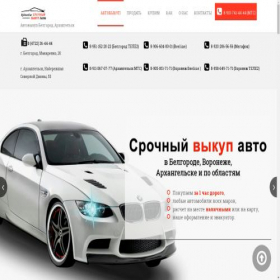 Скриншот главной страницы сайта xn--31--5cdkakh4cybgabguwu6l.xn--p1ai