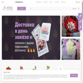 Скриншот главной страницы сайта xn--80a1bd.xn----8sb3aogy9a.xn--p1ai