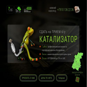Скриншот главной страницы сайта xn--80aa2agflz.xn--p1ai