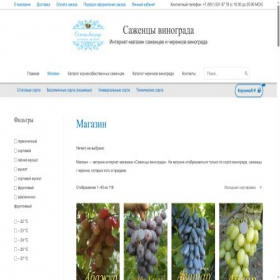 Скриншот главной страницы сайта xn--80aaaaiecjxkb5bscp7a.xn--p1ai