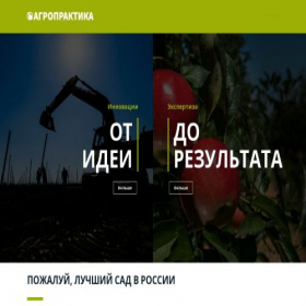 Скриншот главной страницы сайта xn--80aaak0alb2ajic0a.xn--p1ai