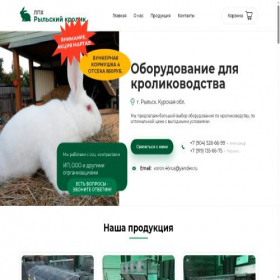 Скриншот главной страницы сайта xn--80aagaie9addxclacyck.com