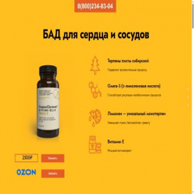 Скриншот главной страницы сайта xn--80aaiducigzhaue.xn--p1ai