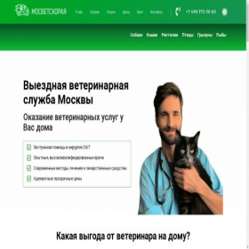 Скриншот главной страницы сайта xn--80adjuhmdqeck5n.xn--p1ai