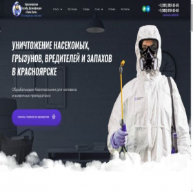 Скриншот главной страницы сайта xn--80aeaxkgfsajdx.xn--p1ai