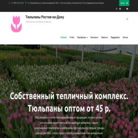 Скриншот главной страницы сайта xn--80aezjfadkkdh8hj0a.xn--p1ai
