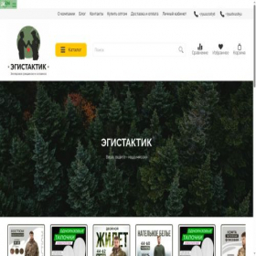 Скриншот главной страницы сайта xn--80afpbjb9bic7h.xn--p1ai