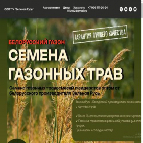 Скриншот главной страницы сайта xn--80ajagvnwir5g3a.xn--p1ai