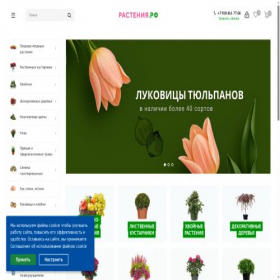 Скриншот главной страницы сайта xn--80akjtmhh1i.xn--p1ai