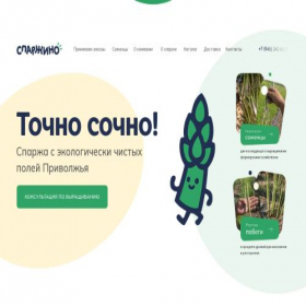 Скриншот главной страницы сайта xn--80amgufbif.xn--p1ai