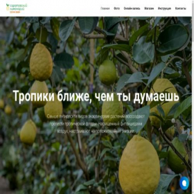 Скриншот главной страницы сайта xn--80apbeghhhu.xn--p1ai