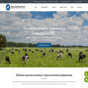 Скриншот главной страницы сайта xn--e1aamebhiajcb6ap.xn--p1ai