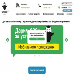 Скриншот главной страницы сайта xn--e1aolosx.xn--p1ai