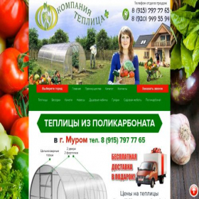 Скриншот главной страницы сайта xn--l1aafho.xn----7sbomodxetb2c4f.xn--p1ai