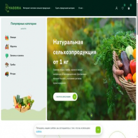 Скриншот главной страницы сайта yagora.ru