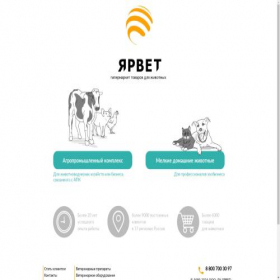 Скриншот главной страницы сайта yarvet.ru
