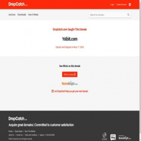 Скриншот главной страницы сайта yolbit.com