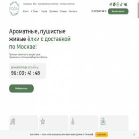 Скриншот главной страницы сайта yolka.msk.ru