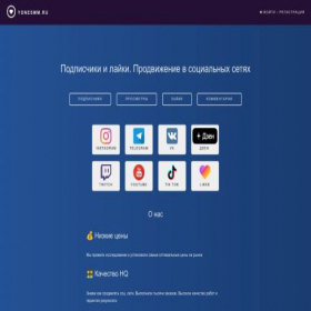 Скриншот главной страницы сайта yonesmm.ru