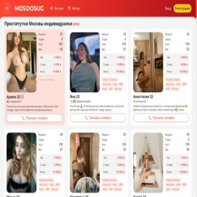 Скриншот главной страницы сайта z.prostitutkimoskvy-dosug.com
