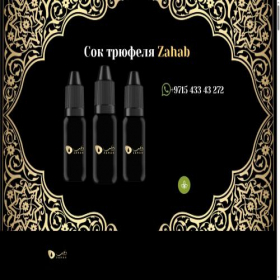 Скриншот главной страницы сайта zahab-kama.ru