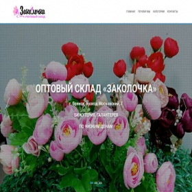 Скриншот главной страницы сайта zakolochka32.ru