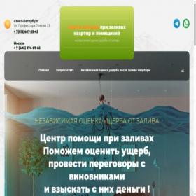 Скриншот главной страницы сайта zaliv-help.ru